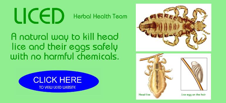 Natural head lice treatment